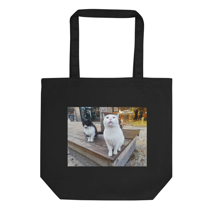 Eco-friendly Tote Bags