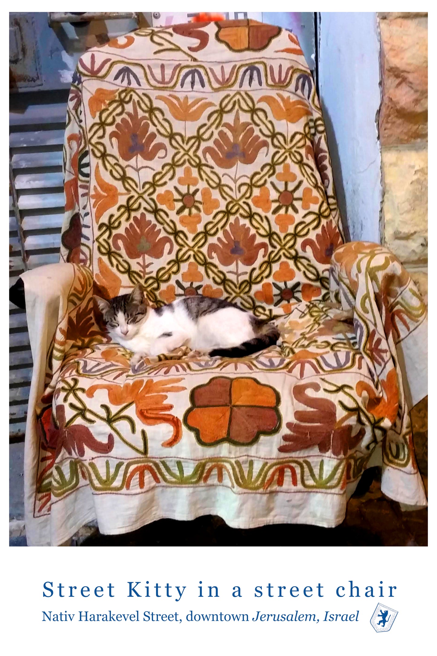 Street Kitty in a Street Chair Poster