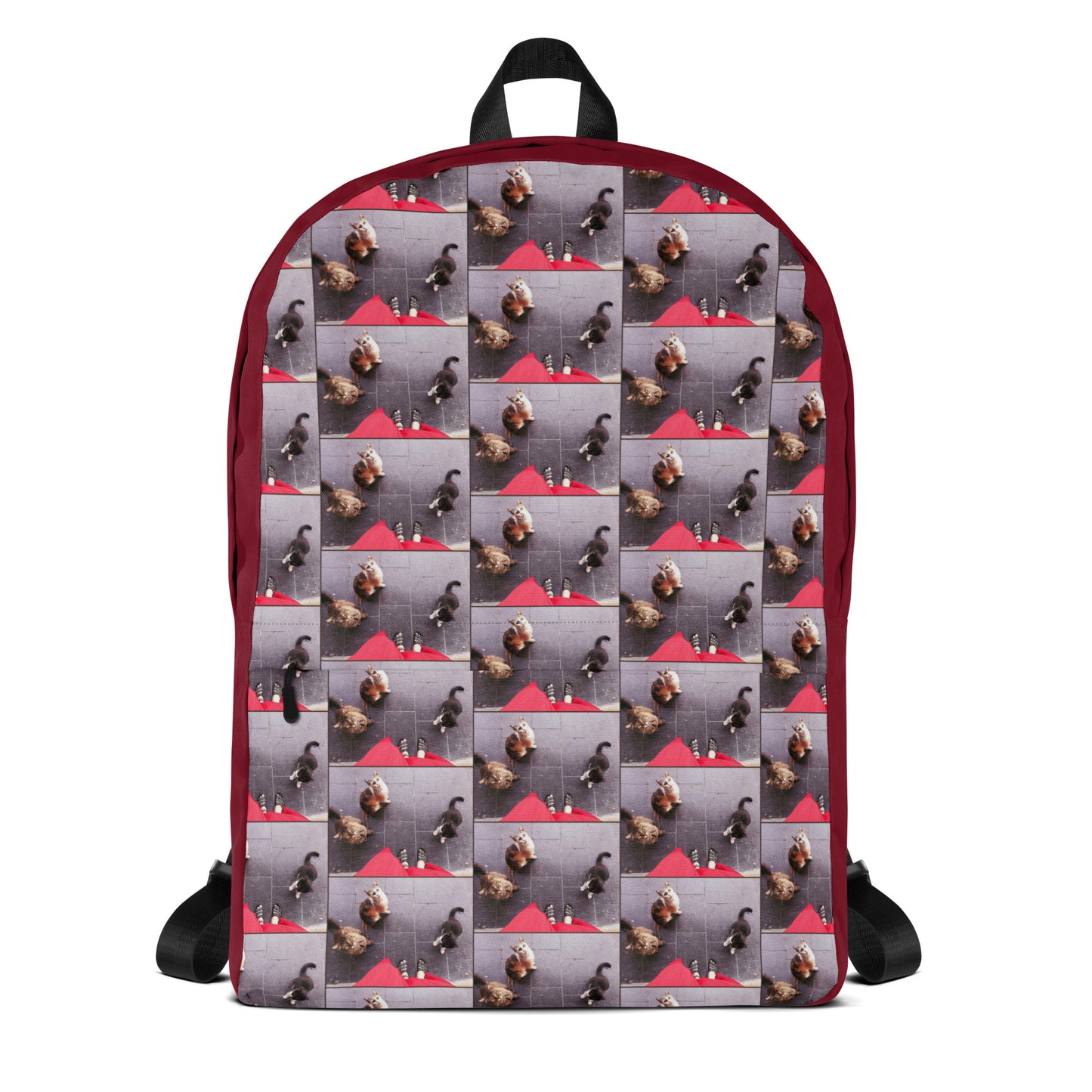 Three Street Kitty Cats Looking Up at Me Backpack