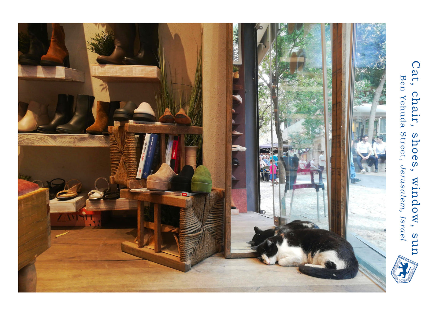 Poster Cat, chair, shoes, window, sun