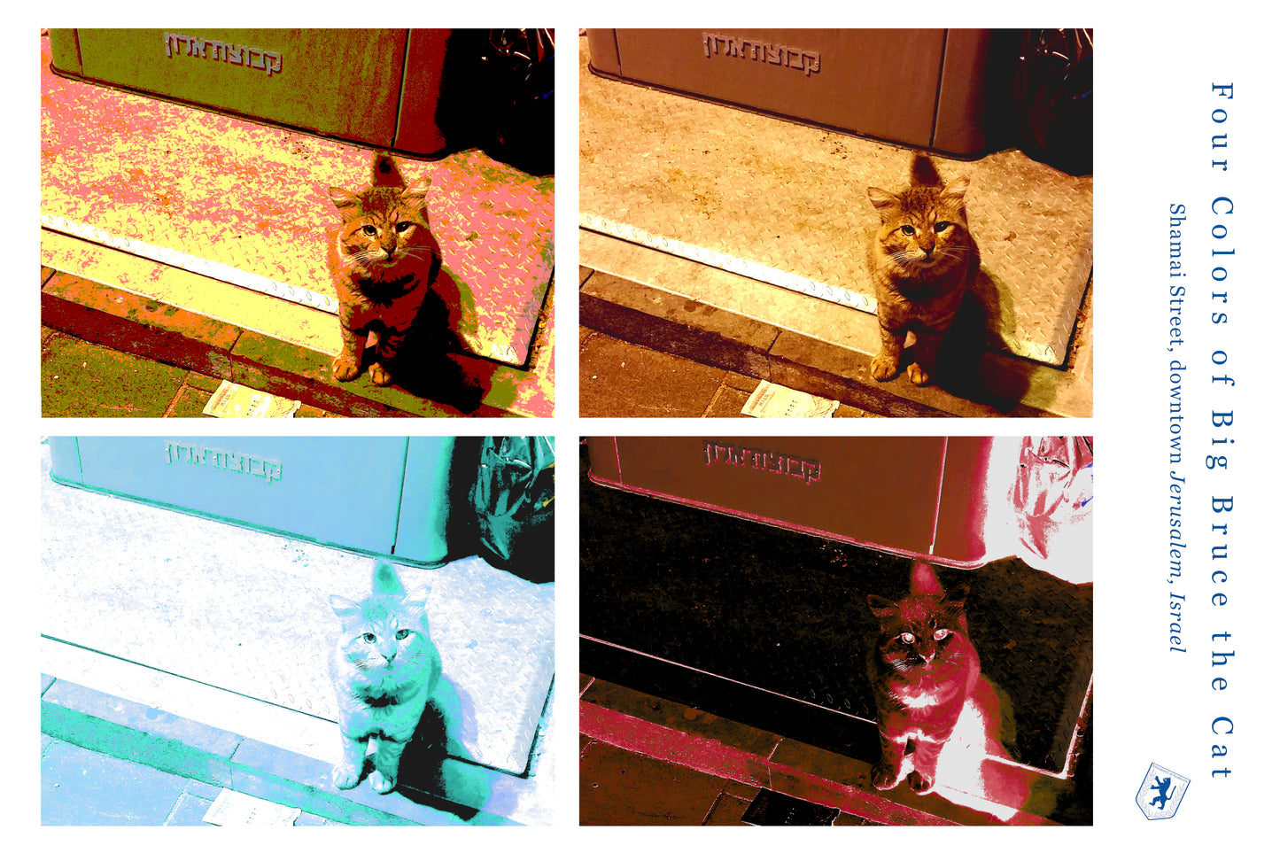 Four Colors of Bruce the Cat