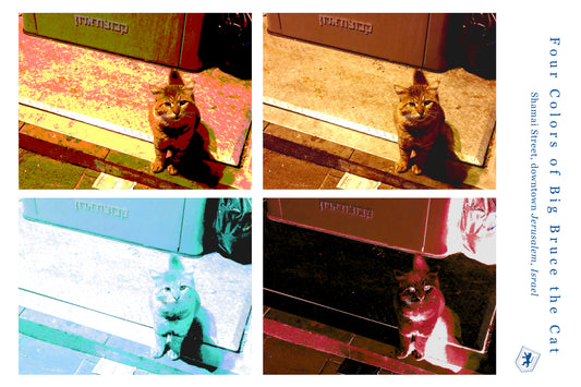 Four Colors of Bruce the Cat