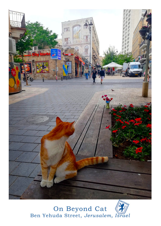 On Beyond Cat Poster